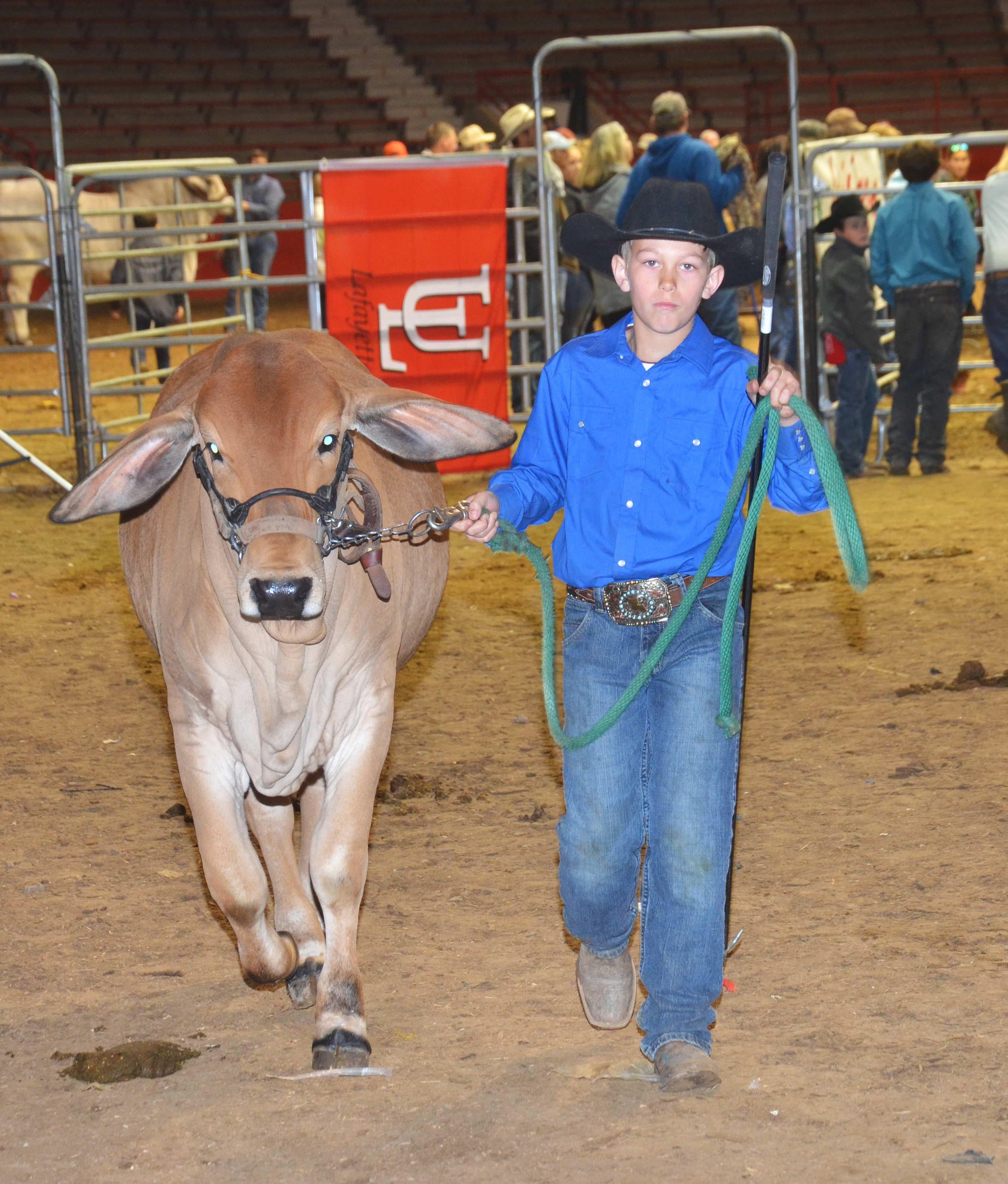 boy with cow.jpg thumbnail